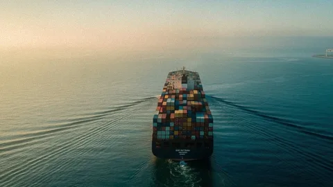Как выбрать морскую линию для контейнерной доставки