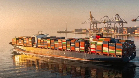 Sea Container Shipping: a Guide from History to Saving on Freight